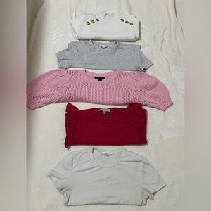 Elie Tahari Pink and Red Sweater Collection